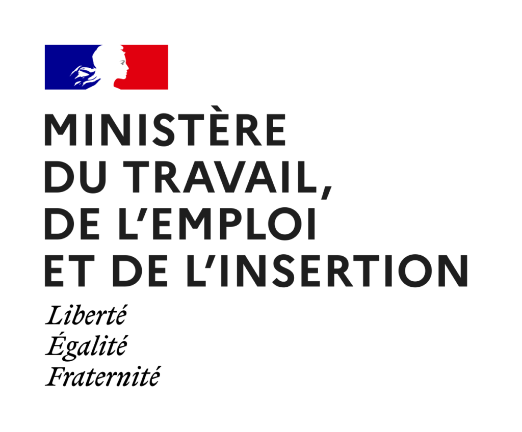 Logo ministère du travail de l'emploi et de l'insertion