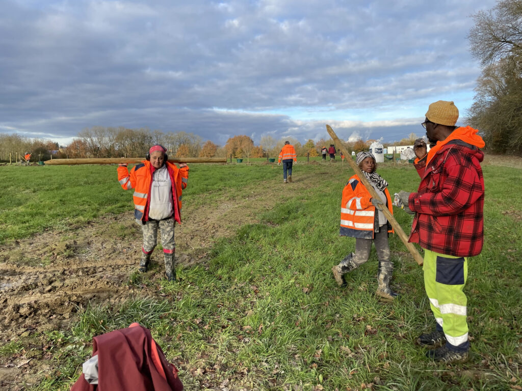 Retour au labeur, transport de tuteurs